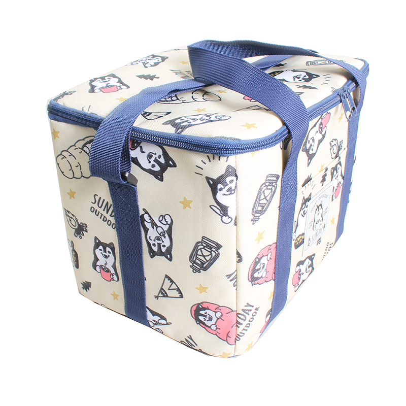 INC-418 Keep Cold for 6 Hours Waterproof And Lightweight Design Environmentally Friendly Lunch Bag