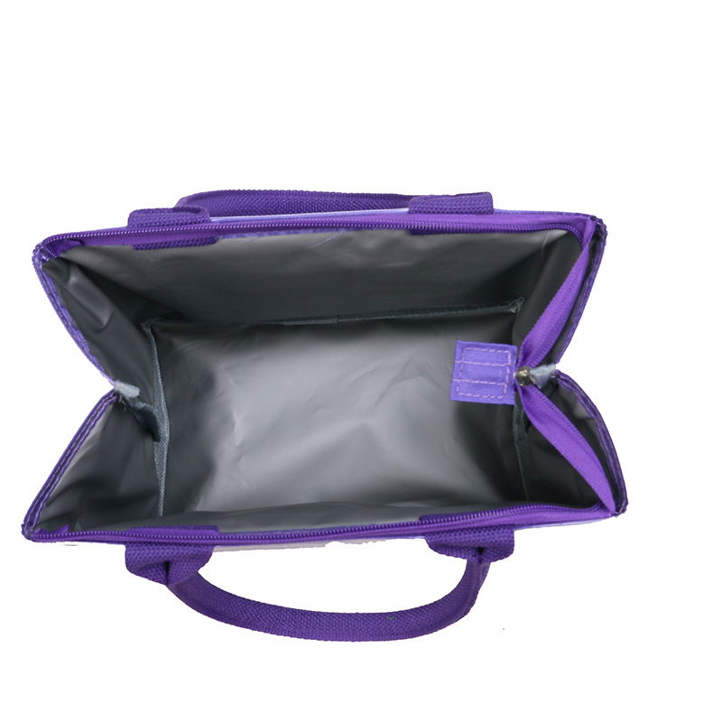 INC-601 Keep Cold for 6 Hours Waterproof And Lightweight Design Environmentally Friendly Lunch Bag