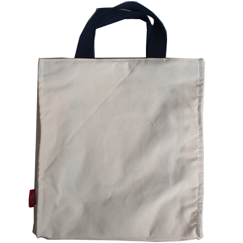 INC-409 Keep Cold for 6 Hours Waterproof And Lightweight Design Environmentally Friendly Lunch Bag