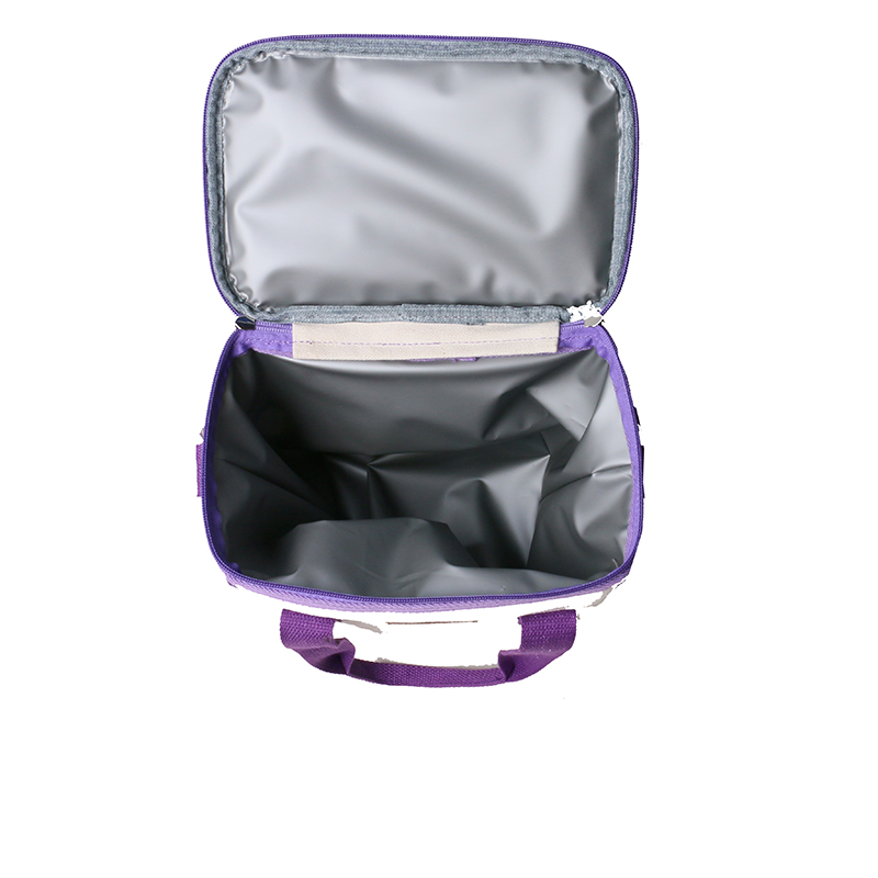 INC-577 Keep Cold for 6 Hours Waterproof And Lightweight Design Environmentally Friendly Lunch Bag