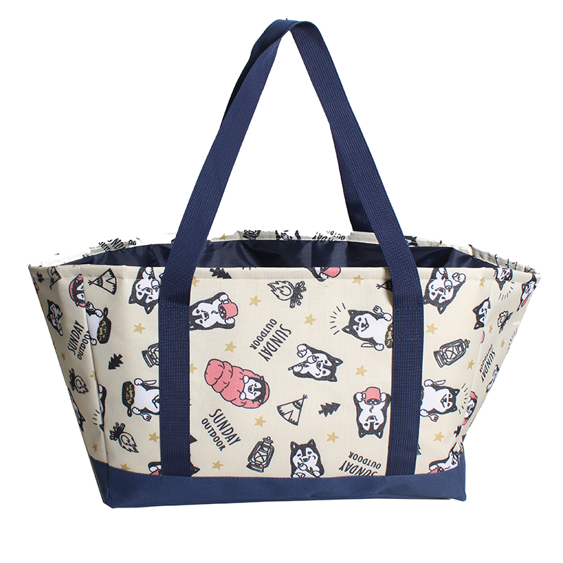 INC-417 Keep Cold for 6 Hours Waterproof And Lightweight Design Environmentally Friendly Lunch Bag